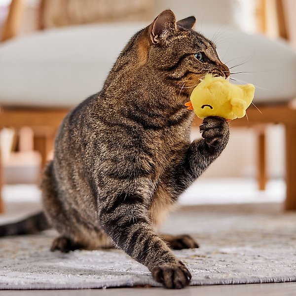 Show full view: Frisco Chick Chirping Sound Electronic Plush Cat Toy with Catnip slide 4 of 5