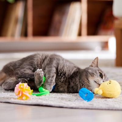 Show full view: Frisco Easter Chick Plush, Spring & Ball Variety Pack Cat Toy with Catnip, 4 count slide 4 of 6
