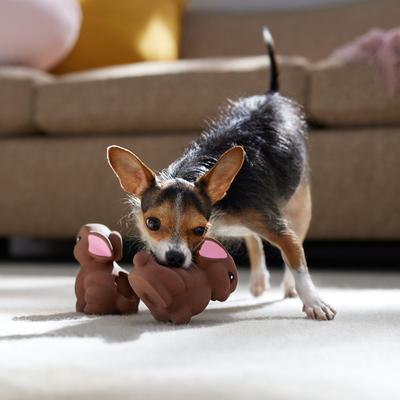 Show full view: Frisco Easter Chocolate Bunnies Latex Squeaky Dog Toy, Small, 2 count slide 5 of 7