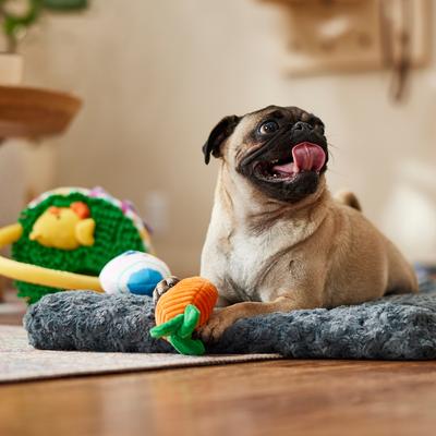 Show full view: Frisco Easter Egg Basket Hide & Seek Puzzle Plush Squeaky Dog Toy, Small/Medium slide 5 of 6