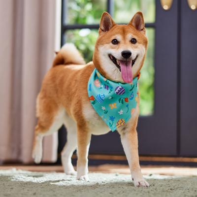 Show full view: Frisco Easter Egg Floral Dog & Cat Bandana, Medium/Large slide 5 of 7