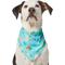 Show in main carousel: Frisco Easter Egg Floral Dog & Cat Bandana, X-Large/XX-Large slide 1 of 7