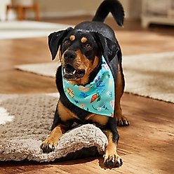 Frisco Easter Egg Floral Dog & Cat Bandana, X-Large/XX-Large slide 2 of 6