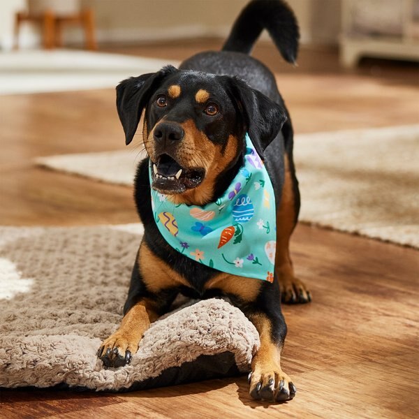 Frisco Easter Egg Dog & Cat Bandana