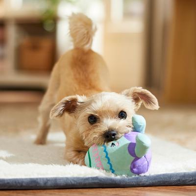 Show full view: Frisco Easter Egg Plush Squeaky Dog Toy, Small slide 5 of 6