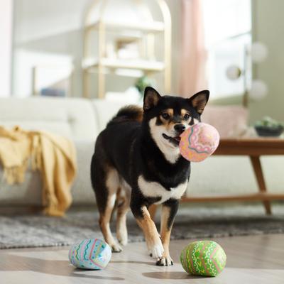 Show full view: Frisco Easter Eggs Plush Squeaky Dog Toy, Medium, 3 count slide 5 of 7