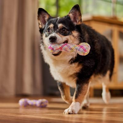 Show full view: Frisco Easter TPR Bone Squeaky Dog Toy, Spring Chicks, Medium/Large, 2 count slide 5 of 7