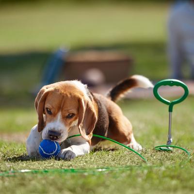 Show full view: Frisco Easy Grip Stake with Tie Out Cable, Large, 15-ft slide 5 of 7