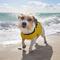 Show in main carousel: Frisco Easy On Dog Life Jacket, Large slide 7 of 9
