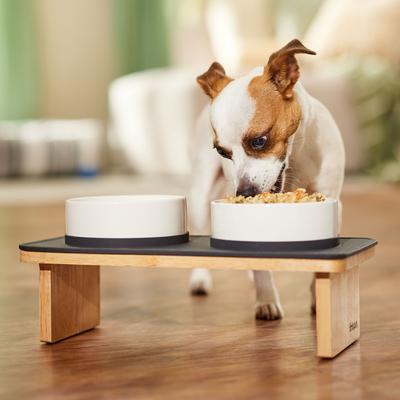 Show full view: Frisco Elevated Ceramic Double Diner, Small: 1.5 cup slide 4 of 8