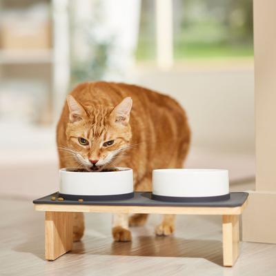 Show full view: Frisco Elevated Ceramic Double Diner, Small: 1.5 cup slide 5 of 8