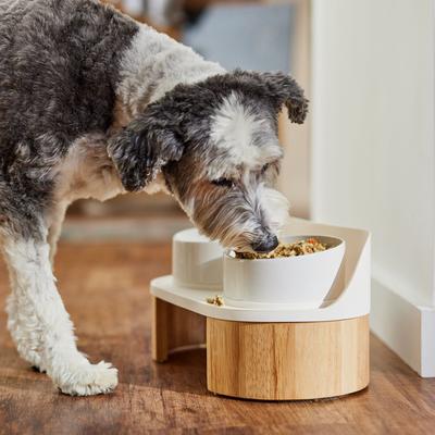 Show full view: Frisco Elevated Ceramic Splash Guard Double Diner, Medium: 3 cup slide 5 of 8