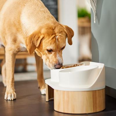 Show full view: Frisco Elevated Ceramic Splash Guard Double Diner, Large: 7 cup slide 5 of 8