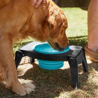 Show full view: Frisco Elevated Collapsible Travel Bowl, Large: 8 cup, 1 count slide 5 of 7