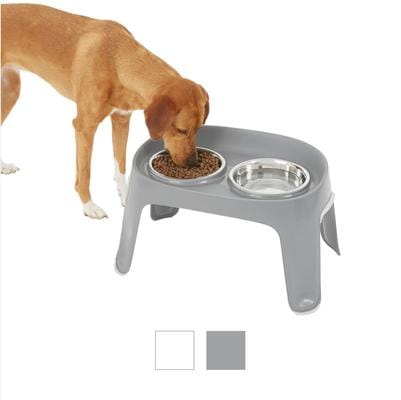 Frisco Elevated Dog Diner in gray, large size