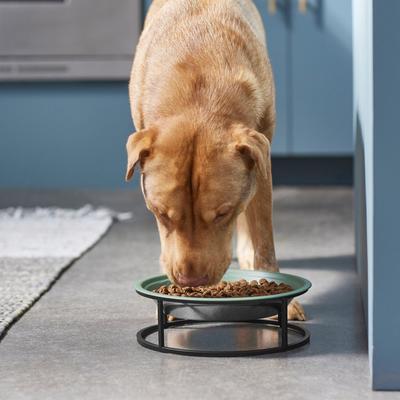 Show full view: Frisco Elevated Non-skid Stainless Steel Dog & Cat Bowl, Artichoke Green, 10 cup slide 3 of 7