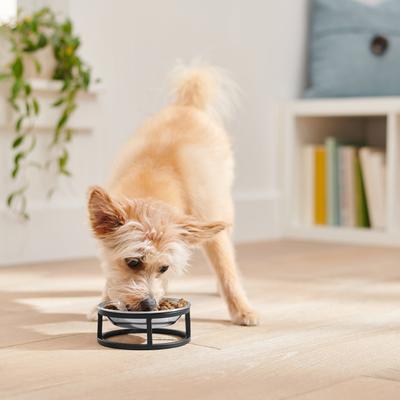 Show full view: Frisco Elevated Stainless Steel Dog & Cat Bowl, Small: 1 cup slide 3 of 9