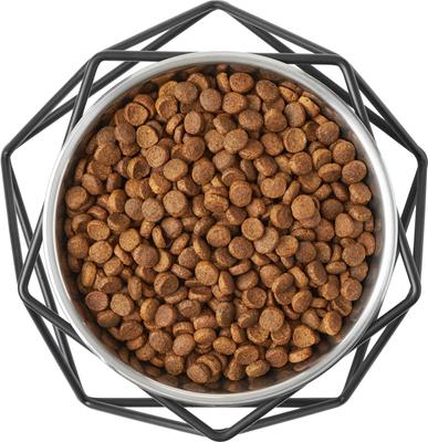 Show full view: Frisco Elevated Stainless Steel Dog & Cat Bowl with Metal Stand, Extra Small, 2 count slide 5 of 10