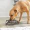 Show in main carousel: Frisco Elevated Stainless Steel Dog & Cat Bowl with Metal Stand, Medium: 3 cup, 1 count slide 3 of 10