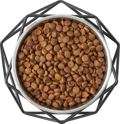 Show full view: Frisco Elevated Stainless Steel Dog & Cat Bowl with Metal Stand, Medium: 3 cup, 1 count slide 6 of 10