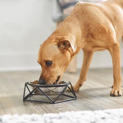 Show full view: Frisco Elevated Stainless Steel Dog & Cat Bowl with Metal Stand, Small: 1.5 cup, 1 count slide 3 of 10