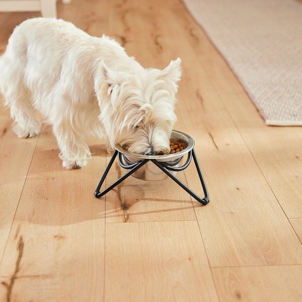 Frisco Iron Stand Dog & Cat Single Bowl Diner