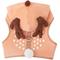 Show in main carousel: Frisco Reindeer Dog Harness, MD slide 1 of 5