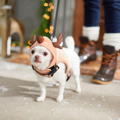 Show full view: Frisco Reindeer Dog Harness, XS slide 4 of 5