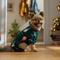 Show in main carousel: Frisco Elf Polar Fleece Dog & Cat PJs, Medium slide 6 of 9