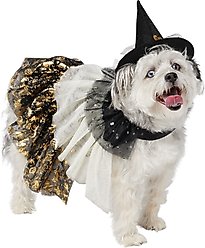 Frisco Enchanted Witch Dog & Cat Hat and Cape Costume, Medium/Large