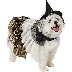 Frisco Enchanted Witch Dog & Cat Hat and Cape Costume, Medium/Large