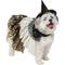 Show in main carousel: Frisco Enchanted Witch Dog & Cat Hat and Cape Costume, Medium/Large slide 1 of 8