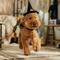 Show in main carousel: Frisco Enchanted Witch Dog & Cat Hat and Cape Costume, Medium/Large slide 6 of 8