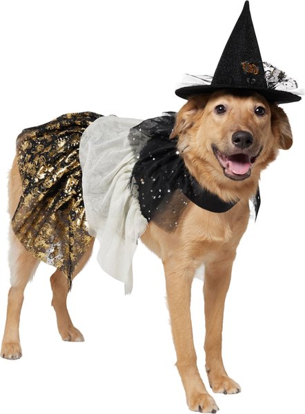 Show full view: Frisco Enchanted Witch Dog & Cat Hat and Cape Costume, X-Large/XX-Large slide 1 of 8