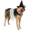Show in main carousel: Frisco Enchanted Witch Dog & Cat Hat and Cape Costume, X-Large/XX-Large slide 1 of 9