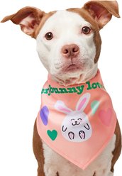 Frisco Every Bunny Loves Me Dog & Cat Bandana, Medium/Large slide 1 of 6
