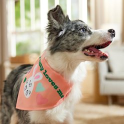 Frisco Every Bunny Loves Me Dog & Cat Bandana, Medium/Large slide 2 of 6
