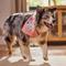 Show in main carousel: Frisco Every Bunny Loves Me Dog & Cat Bandana, X-Large/XX-Large slide 5 of 7