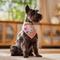 Show in main carousel: Frisco Every Bunny Loves Me Dog & Cat Bandana, X-Small/Small slide 6 of 8