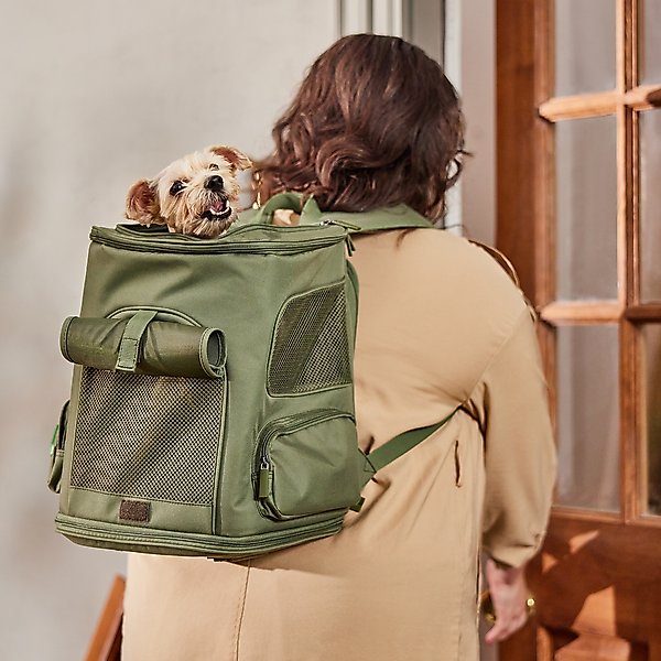 Show full view: Frisco Expandable Dog & Cat Backpack Carrier, Green slide 1 of 8
