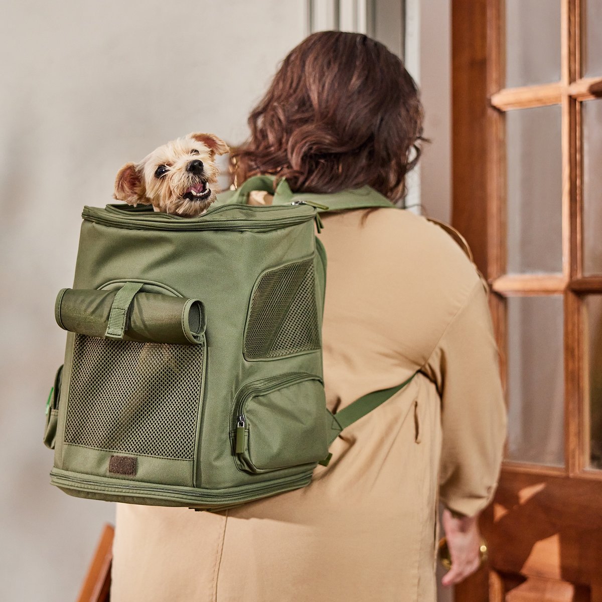 Frisco Expandable Dog & Cat Backpack Carrier, Green