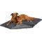 Show in main carousel: Frisco Eyelash Cat & Dog Bolster Bed + Blanket, Smoky Gray, Large slide 6 of 10