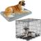 Show in main carousel: Frisco Eyelash Orthopedic Crate Mat, Smoky Gray, 24-in + Fold & Carry Single Door Collapsible Wire Dog Crate, 24 inch slide 1 of 10