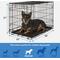 Show in main carousel: Frisco Eyelash Orthopedic Crate Mat, Smoky Gray, 30-in + Fold & Carry Single Door Collapsible Wire Dog Crate, 30 inch slide 7 of 10