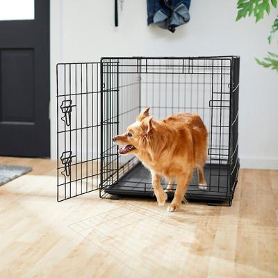 Show full view: Frisco Eyelash Orthopedic Crate Mat, Smoky Gray, 36-in + Fold & Carry Single Door Collapsible Wire Dog Crate, 36 inch slide 9 of 10