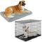 Show in main carousel: Frisco Eyelash Orthopedic Crate Mat, Smoky Gray, 48-in + Fold & Carry Single Door Collapsible Wire Dog Crate, 48 inch slide 1 of 2