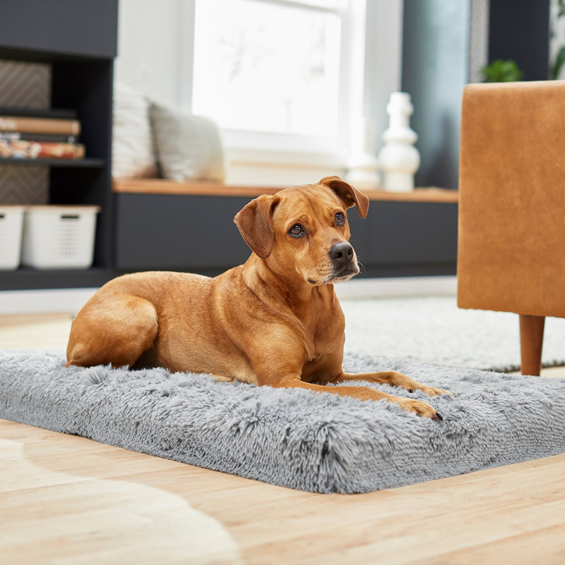 Frisco Eyelash Orthopedic Dog Crate Mat, Smoky Gray, 48-in
