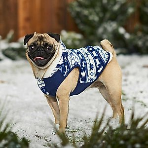 Frisco Fair Isle Fleece Lined Dog & Cat Hoodie, Navy, Small