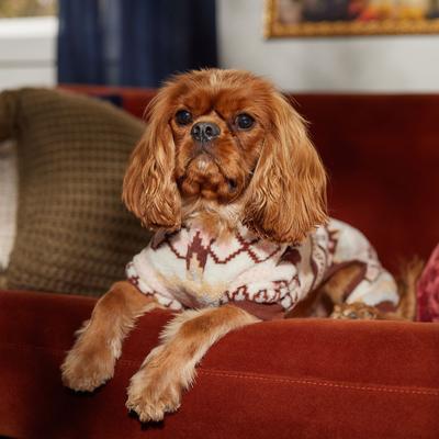 Show full view: Frisco Fairisle Cozy Plush Fleece Dog & Cat PJs, Cream, Medium slide 7 of 9