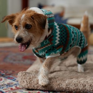 Frisco Fairisle Cozy Plush Fleece Dog & Cat PJs, Green, Large